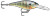 Rapala - Shad Rap 05 - Blue Gill
