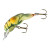 Rebel Middle Wee Craw - Rusty Craw