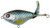 River2Sea - Whopper Plopper 75 Blue Blood