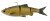 Savage 4" Baitfish 3ct - Gold Shad