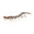 Savage 8" 3D Wake Snake - Rattle Snake