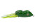 Southern Lure Scum Frog - Green
