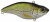 Spro Aruku Shad 65 - Wild Shiner