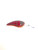 Spro Rock Crawler 55 - Red River Craw