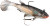 Storm Wildeye Live 2" Minnow 3pk Storm Wildeye Live 2" Minnow 3pk