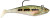 Storm WildEye Swim Shad 3" - Baby Bass