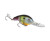 Strike King 5XD - Neon Bluegill