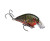 Strike King KVD Squarebill 1.5 - Phantom Watermelon Red Craw