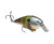 Strike King KVD Squarebill 1.5 - Neon Bluegill