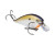 Strike King KVD Squarebill 2.5 - TN Shad 2.0