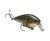 Strike King KVD Squarebill 2.5 - Natural Bream