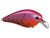 Strike King KVD Squarebill 2.5 - Demon Craw