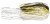 Terminator Power Pulse Skirt 2pk - Crappie