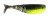 Z-Man 1.75" Shad Fryz 8pk - Bumblebee