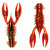 Z-Man 2.5" TRD CrawZ 6pk - Hot Craw