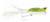 Arbogast Hula Popper - 5/8oz 2.25'' Frog/Wht Belly