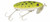 Arbogast Jitterbug - 5/8oz 3'' Frog/White Belly