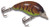 Bandit 100 Series - 2'' Chartreuse Belly