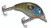 Bandit 100 Series - 2'' River Bream