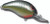 Bandit 200 Series - 2'' La Shad
