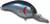 Bandit 200 Series - 2'' Threadfin Shad
