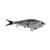 Berkley PB Chop Block - 6'' Crappie 1pk