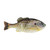 Berkley PB Gilly - 3.5'' HD Sunfish 4pk