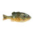 Berkley PB Gilly - 5'' HD Pumpkinseed 2pk