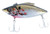 Bill Lewis Rat-L-Trap - 1/2oz Bleeding Shiner