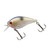 Booyah XCS - 2.3125'' Lucent Shad