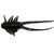 Clam Jamei - 1.125'' Fathead - 14360