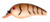Cotton Cordell Big O - 3'' Crawdad
