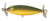Cotton Cordell Crazy Shad - 3'' Frog