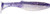 Crush City Lures - Mayor - 4'' Purpledescent 6pk