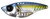 Damiki Vault 55 - 1/2oz Holo Real Shad