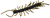 FYAO Devil Bug - 3'' Green Pumpkin 10pk