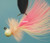 Hawken Woolly Bugger Jig Co - 1/8oz Pink/White 6pk