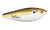 Heddon Spit'n Image - 3.25'' Tennessee Sd