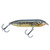Heddon Super Spook Boyo - Florida Bass