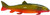 K&E Bear Creek Decoy - 9'' Natural Sucker 1pk