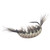 Kenders Natural Shrimp - 1/64oz #14 Cream Brown - NS2-3