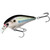 Lucky Craft - Lucky Craft - 1.5 - 1/2oz 2.4'' Live Thfn Shad