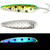 Moonshine RV Series Standard - Orange Goby