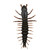 Nikko Hellgrammite - 4.25'' Mudbug 3pk