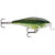 Rapala Shallow Shad Rap - 3/16oz 2.5'' Baby Bass