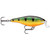 Rapala Shallow Shad Rap - 5/16oz 2.75'' Perch