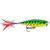 Rapala Skitter Pop - 1/4oz 2'' Firetiger