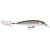 Rapala X-Rap - 1/4oz 3.2'' Rainbow Trout