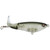River2Sea - R2S Whopper Plopper 110 - Phantom Shad