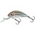 Salmo Rattlin Hornet 045 - 1.75'' Supernatural Perch